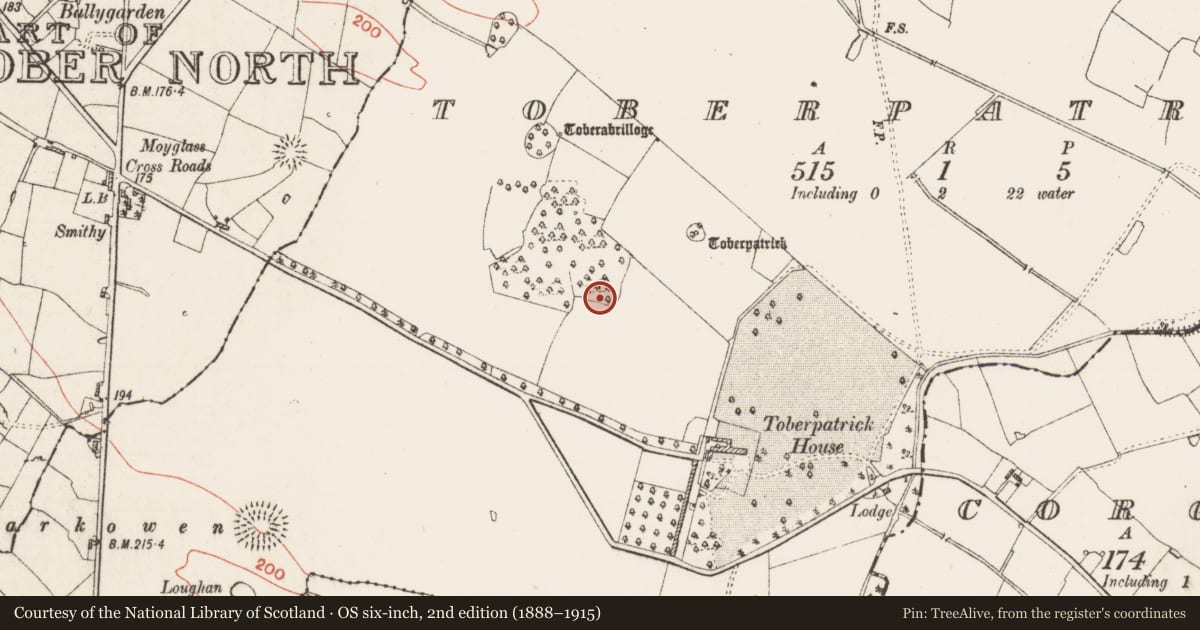 Ordnance Survey six-inch map, 2nd edition (1888–1915) covering the location of Ringfort - rath, Toberpatrick, County Roscommon, with a pin at the register's coordinates
