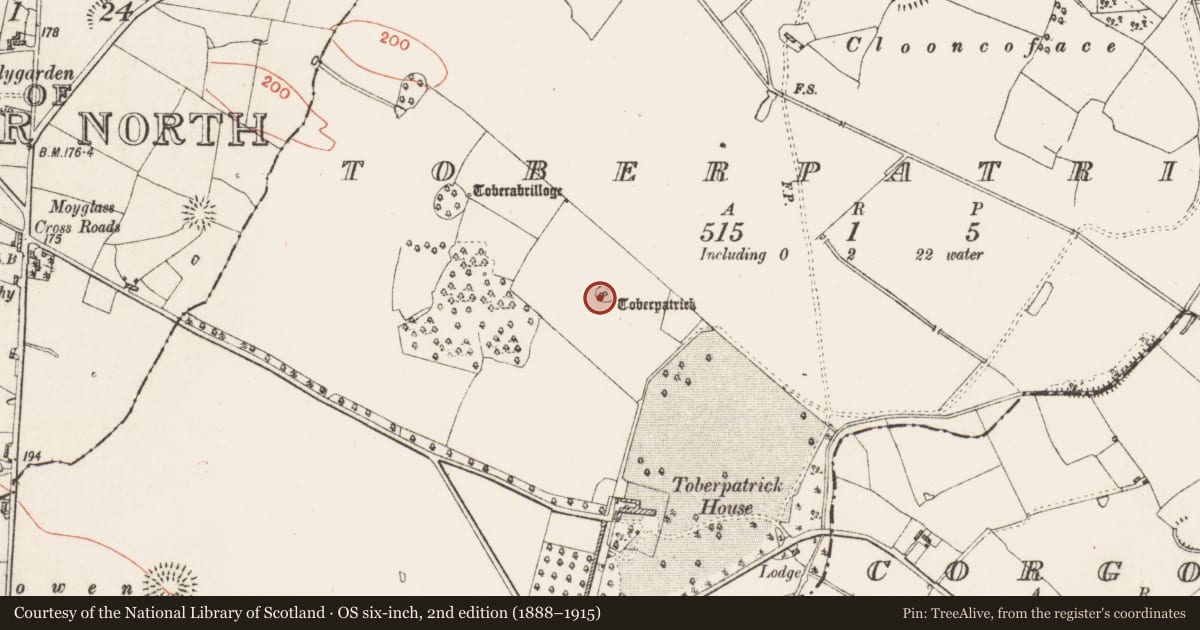 Ordnance Survey six-inch map, 2nd edition (1888–1915) covering the location of Stone trough, Toberpatrick, County Roscommon, with a pin at the register's coordinates