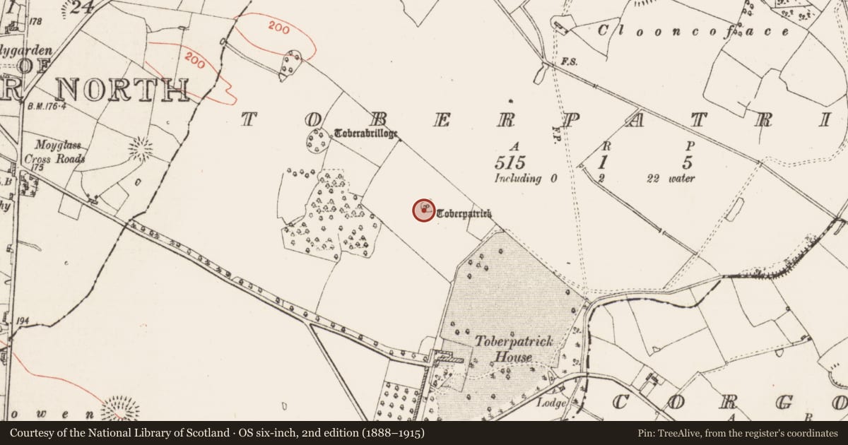 Ordnance Survey six-inch map, 2nd edition (1888–1915) covering the location of Enclosure, Toberpatrick, County Roscommon, with a pin at the register's coordinates