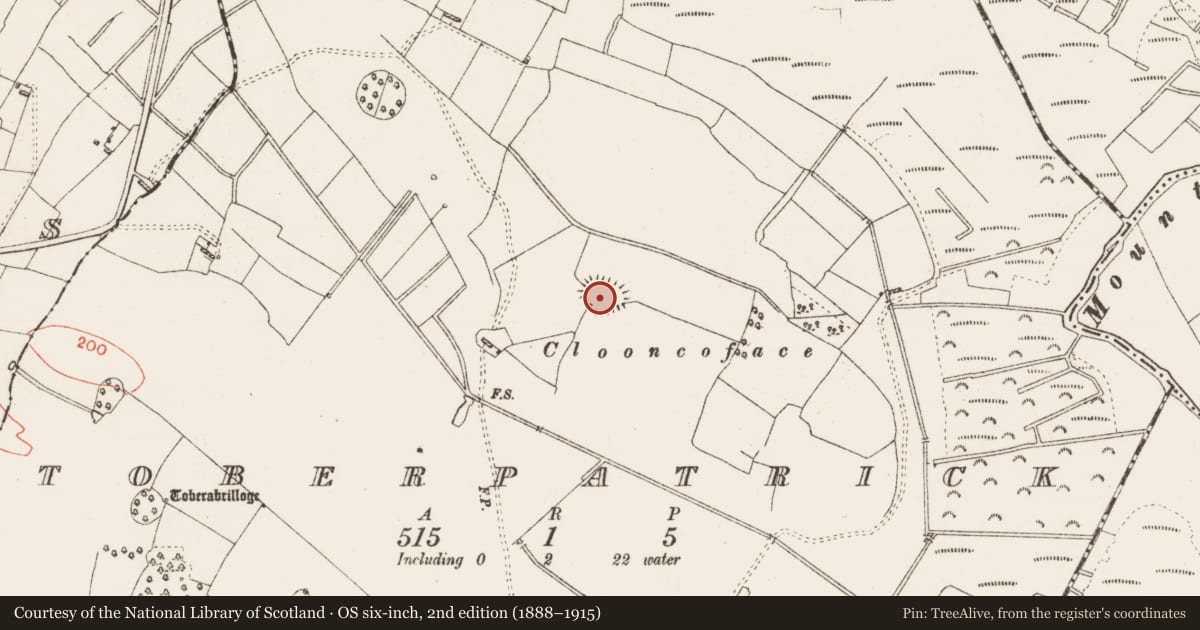 Ordnance Survey six-inch map, 2nd edition (1888–1915) covering the location of Ringfort - rath, Toberpatrick, County Roscommon, with a pin at the register's coordinates