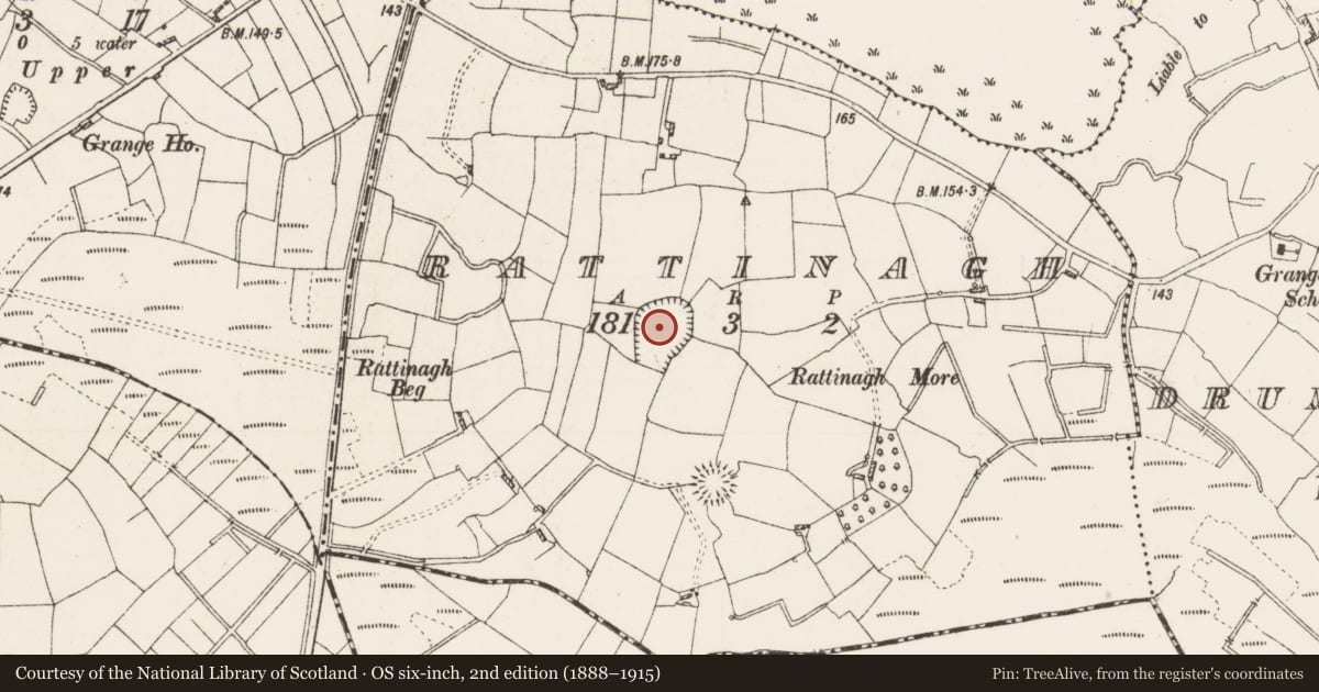Ordnance Survey six-inch map, 2nd edition (1888–1915) covering the location of Enclosure - large enclosure, Rattinagh, County Roscommon, with a pin at the register's coordinates