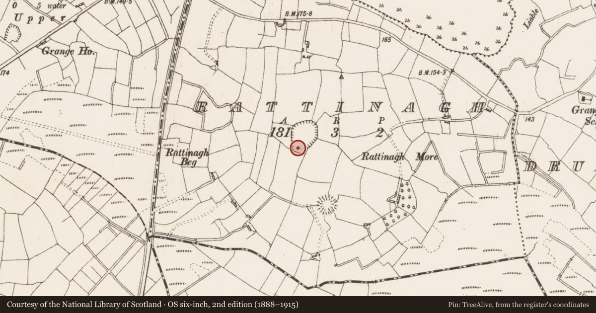 Ordnance Survey six-inch map, 2nd edition (1888–1915) covering the location of Enclosure, Rattinagh, County Roscommon, with a pin at the register's coordinates