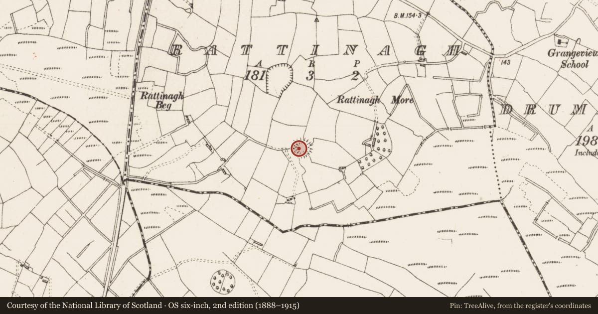 Ordnance Survey six-inch map, 2nd edition (1888–1915) covering the location of Ringfort - rath, Rattinagh, County Roscommon, with a pin at the register's coordinates
