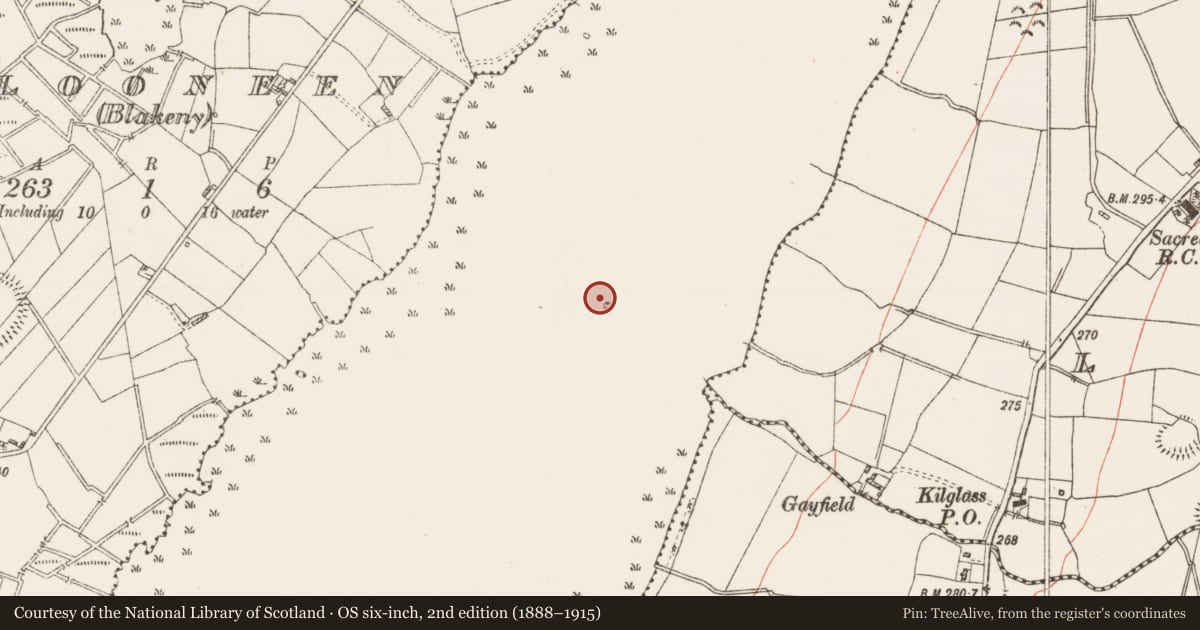 Ordnance Survey six-inch map, 2nd edition (1888–1915) covering the location of Crannog, Kilglass Lough, County Roscommon, with a pin at the register's coordinates