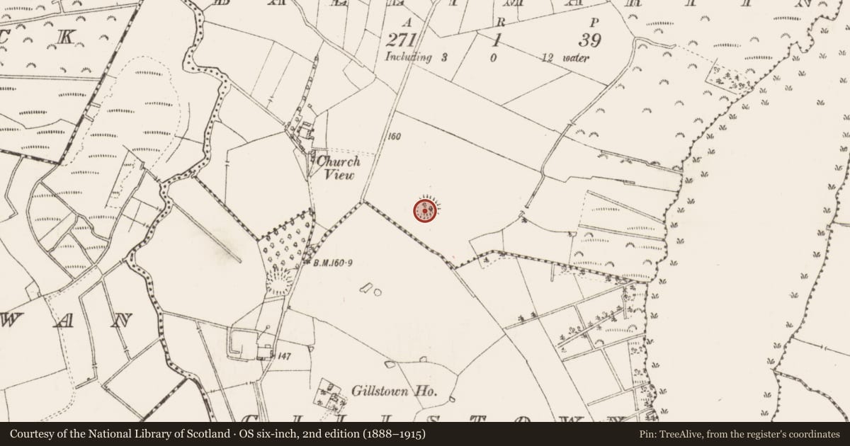 Ordnance Survey six-inch map, 2nd edition (1888–1915) covering the location of Ringfort - rath, Ballymartin, County Roscommon, with a pin at the register's coordinates