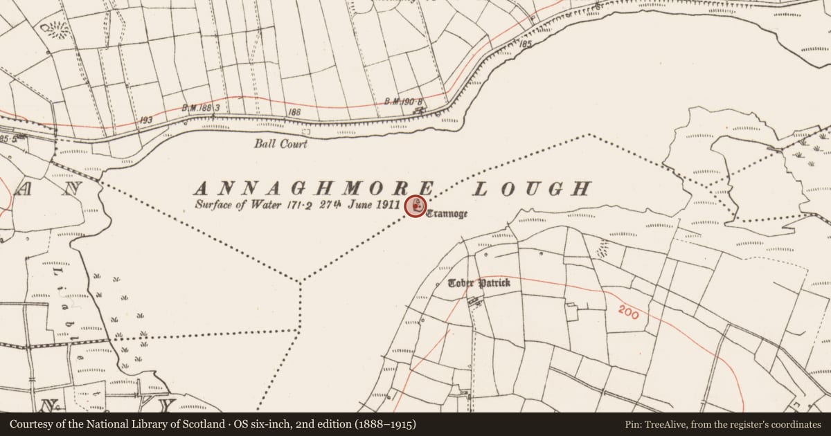 Ordnance Survey six-inch map, 2nd edition (1888–1915) covering the location of Crannog, Drinaun, Annaghmore, County Roscommon, with a pin at the register's coordinates
