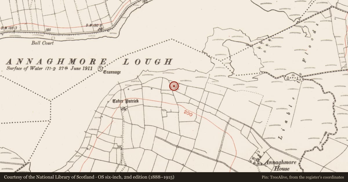 Ordnance Survey six-inch map, 2nd edition (1888–1915) covering the location of Earthwork, Annaghmore, County Roscommon, with a pin at the register's coordinates