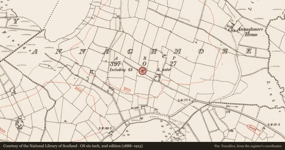Ordnance Survey six-inch map, 2nd edition (1888–1915) covering the location of Ringfort - rath, Annaghmore, County Roscommon, with a pin at the register's coordinates