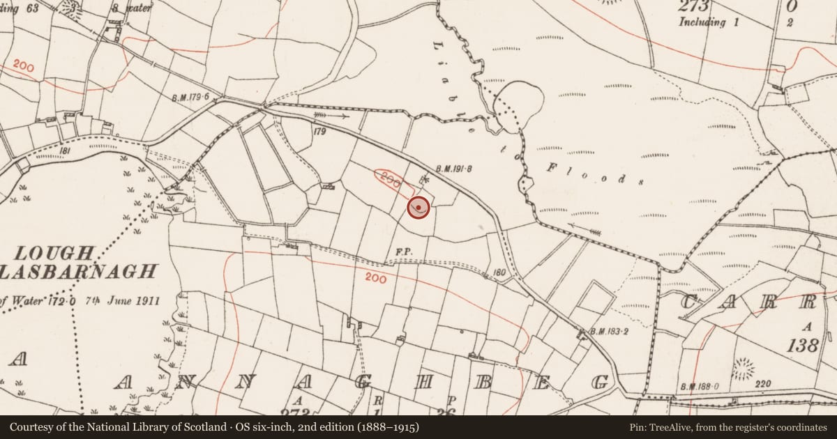 Ordnance Survey six-inch map, 2nd edition (1888–1915) covering the location of Ringfort - rath, Annaghbeg, County Roscommon, with a pin at the register's coordinates