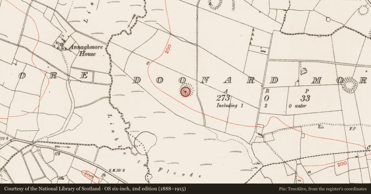 Ordnance Survey six-inch map, 2nd edition (1888–1915) covering the location of Ringfort - rath, Doonard More, County Roscommon, with a pin at the register's coordinates