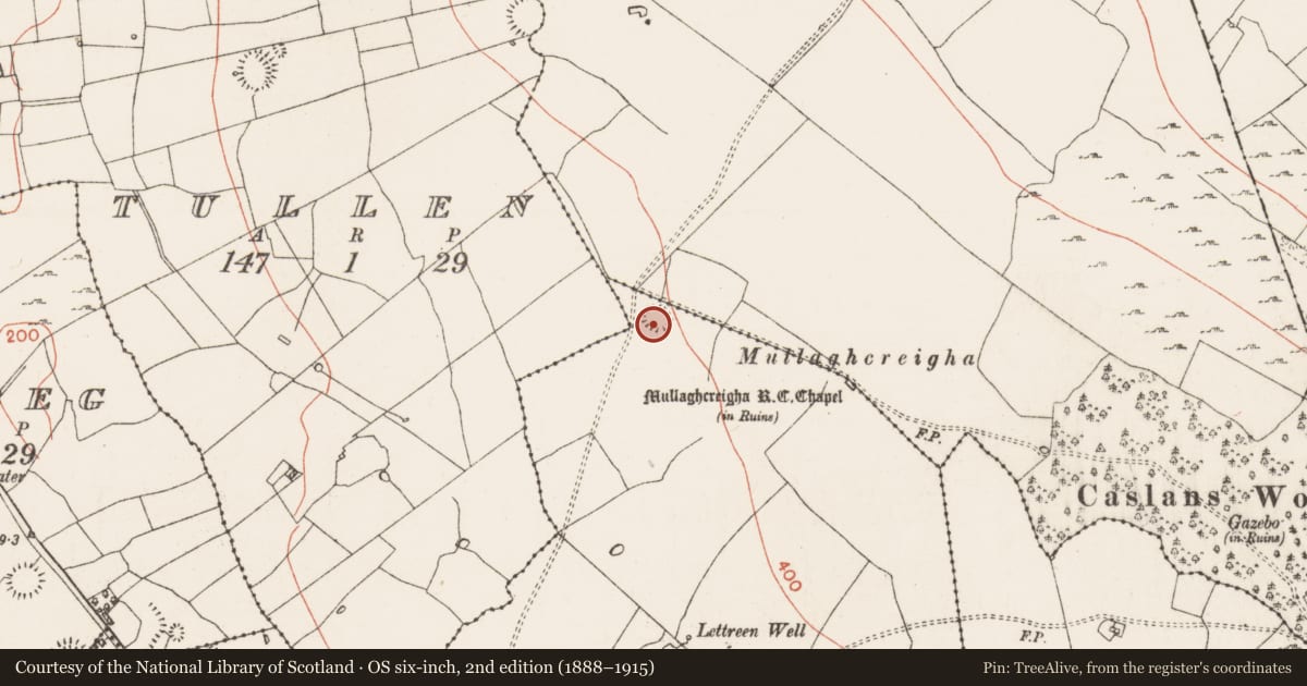 Ordnance Survey six-inch map, 2nd edition (1888–1915) covering the location of Ringfort - rath, Lettreen, County Roscommon, with a pin at the register's coordinates