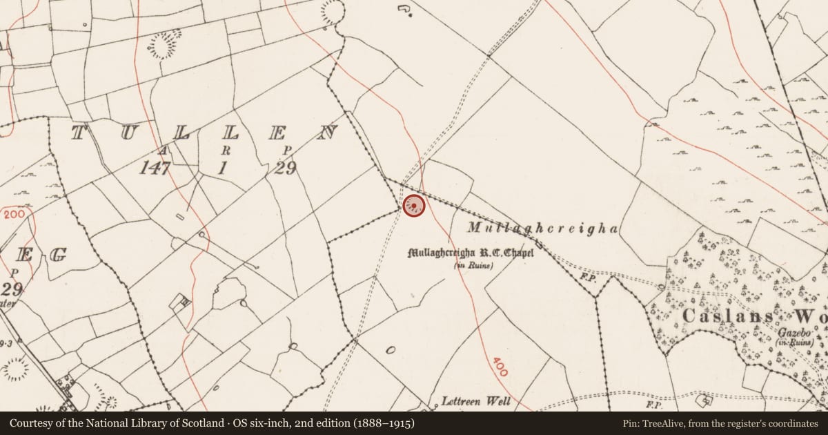Ordnance Survey six-inch map, 2nd edition (1888–1915) covering the location of Hut site, Lettreen, County Roscommon, with a pin at the register's coordinates