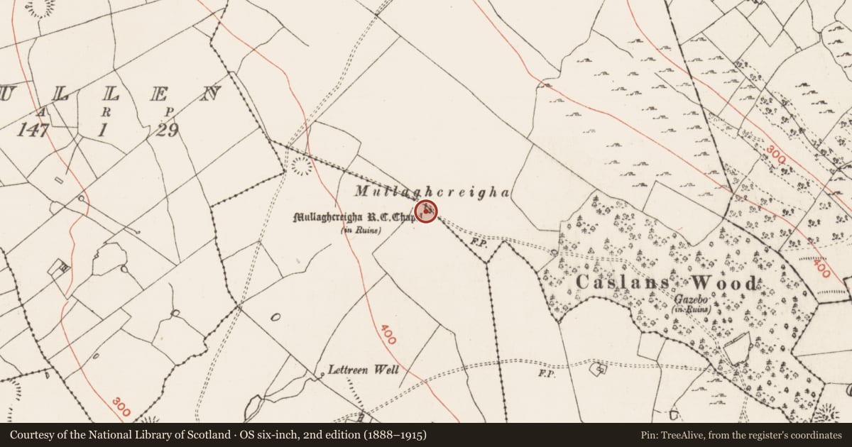 Ordnance Survey six-inch map, 2nd edition (1888–1915) covering the location of Church, Lettreen, Kiltrustan, County Roscommon, with a pin at the register's coordinates
