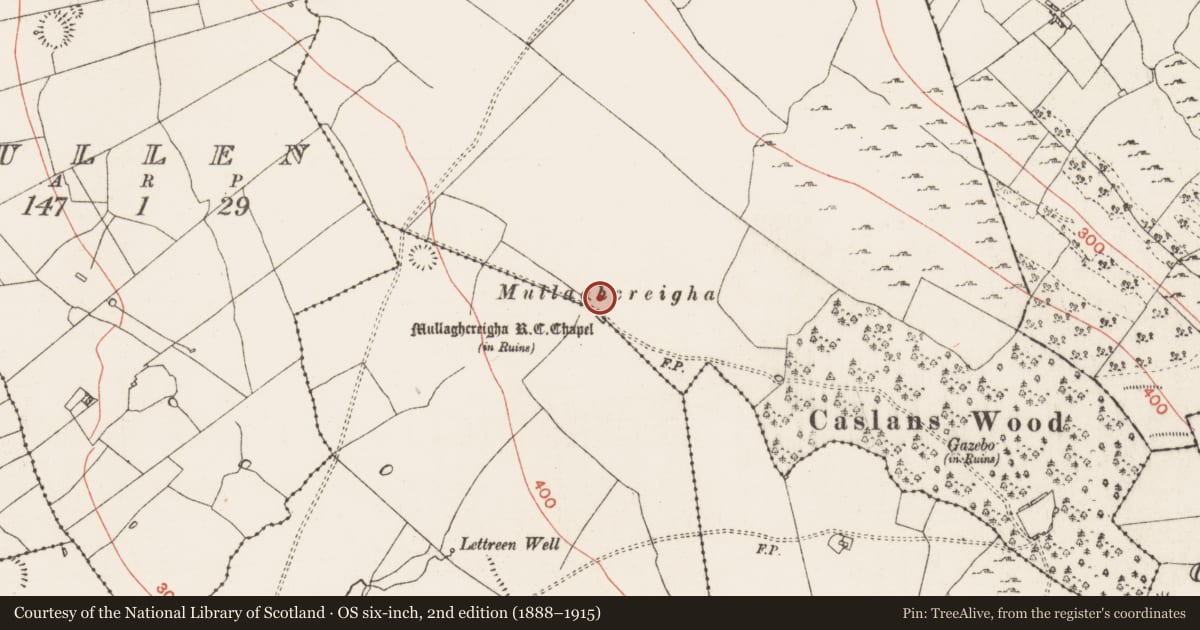 Ordnance Survey six-inch map, 2nd edition (1888–1915) covering the location of Ecclesiastical enclosure, Kiltrustan, Lettreen, County Roscommon, with a pin at the register's coordinates