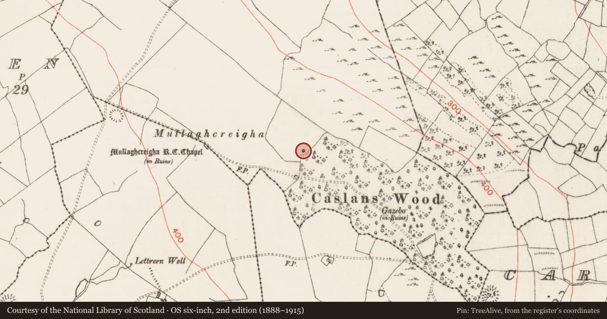 Ordnance Survey six-inch map, 2nd edition (1888–1915) covering the location of Ringfort - rath, Kiltrustan, County Roscommon, with a pin at the register's coordinates