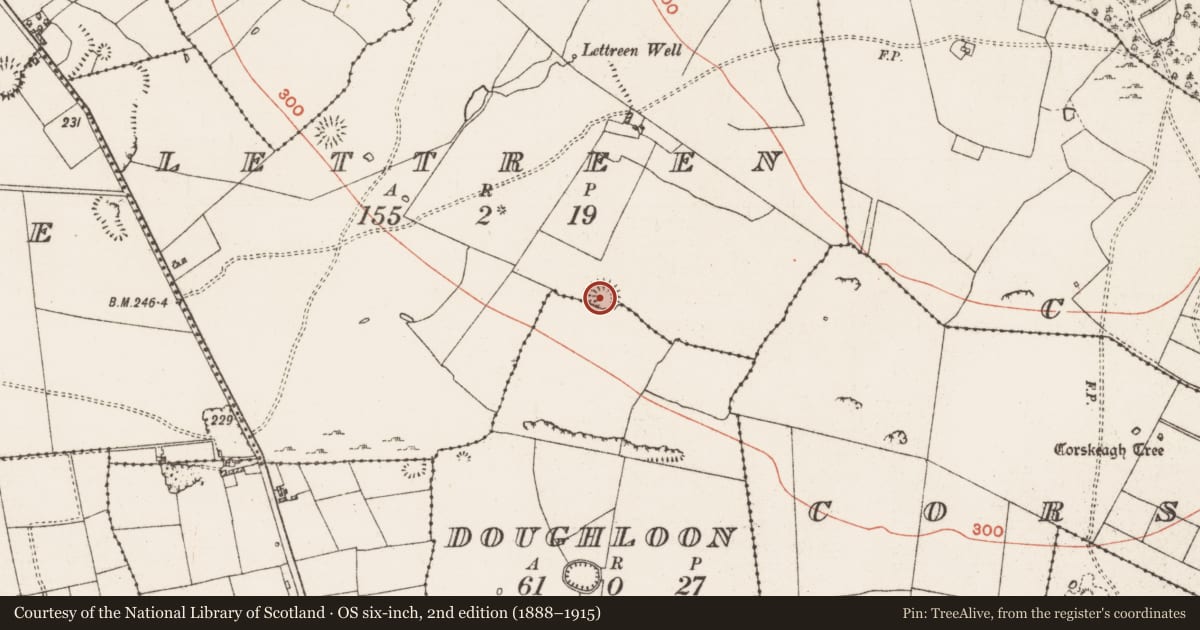 Ordnance Survey six-inch map, 2nd edition (1888–1915) covering the location of Ringfort - rath, Doughloon, Lettreen, County Roscommon, with a pin at the register's coordinates
