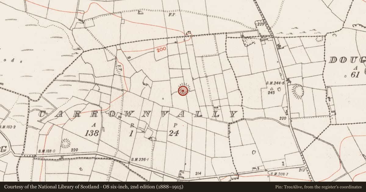 Ordnance Survey six-inch map, 2nd edition (1888–1915) covering the location of Ringfort - rath, Carrownvally, County Roscommon, with a pin at the register's coordinates