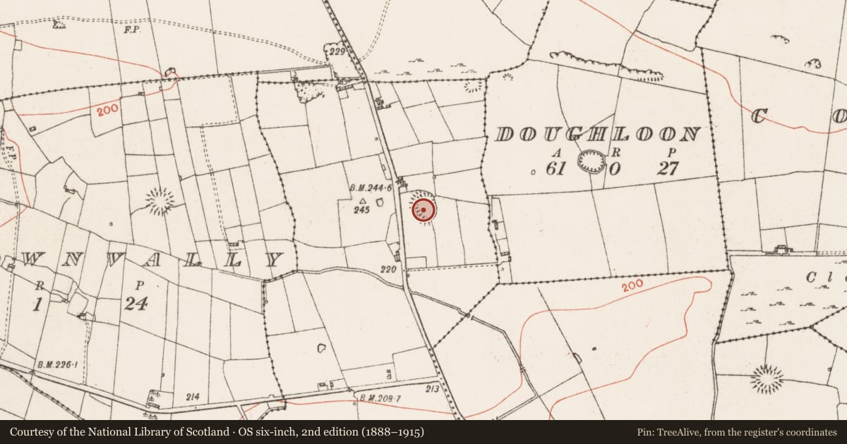 Ordnance Survey six-inch map, 2nd edition (1888–1915) covering the location of Ringfort - rath, Doon, County Roscommon, with a pin at the register's coordinates