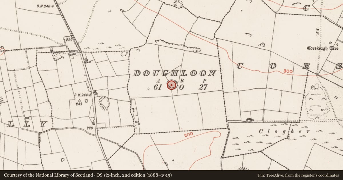 Ordnance Survey six-inch map, 2nd edition (1888–1915) covering the location of Ringfort - rath, Doughloon, County Roscommon, with a pin at the register's coordinates