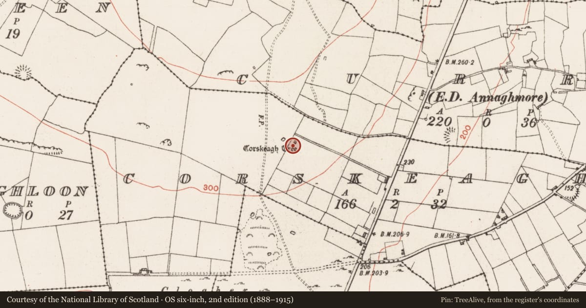 Ordnance Survey six-inch map, 2nd edition (1888–1915) covering the location of Ritual site - holy tree/bush, Corskeagh, County Roscommon, with a pin at the register's coordinates