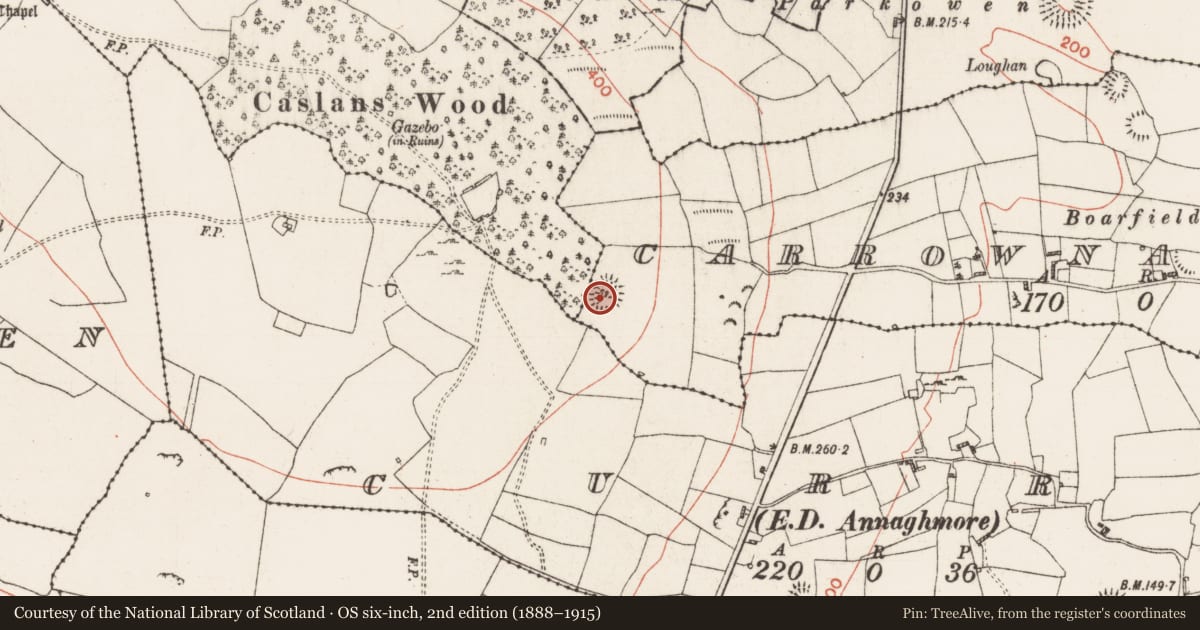 Ordnance Survey six-inch map, 2nd edition (1888–1915) covering the location of Ringfort - rath, Carrownagullagh, County Roscommon, with a pin at the register's coordinates