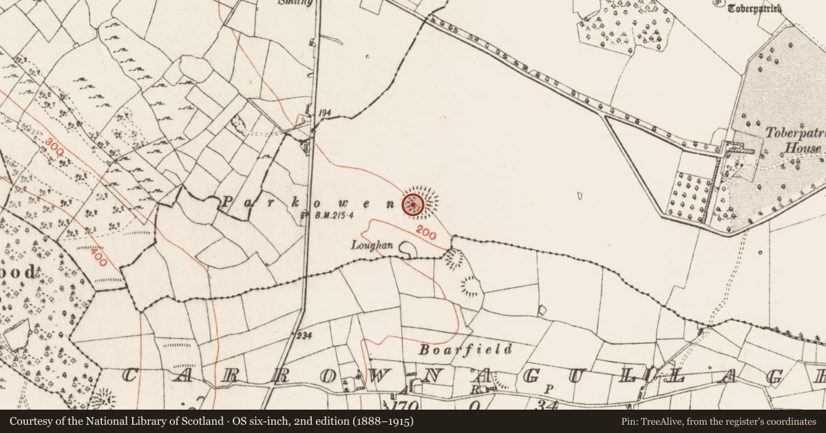 Ordnance Survey six-inch map, 2nd edition (1888–1915) covering the location of Ringfort - rath, Toberpatrick, County Roscommon, with a pin at the register's coordinates