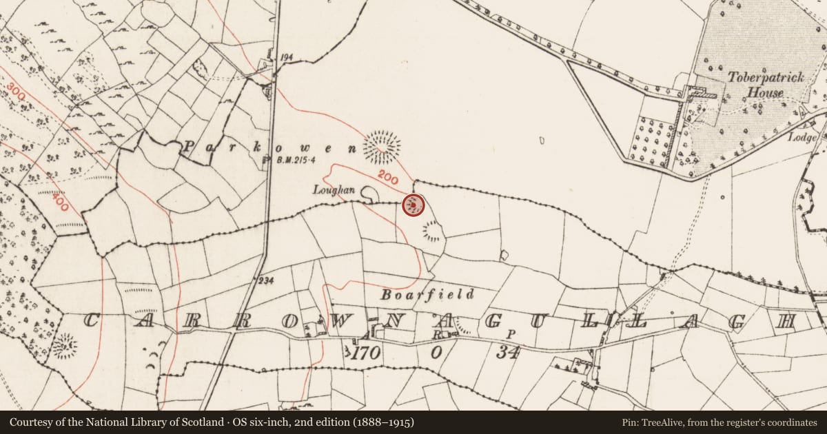 Ordnance Survey six-inch map, 2nd edition (1888–1915) covering the location of Ringfort - rath, Carrownagullagh, County Roscommon, with a pin at the register's coordinates
