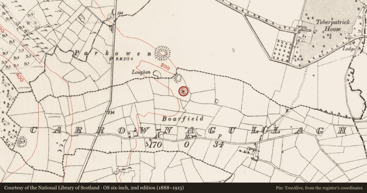 Ordnance Survey six-inch map, 2nd edition (1888–1915) covering the location of Ringfort - rath, Carrownagullagh, County Roscommon, with a pin at the register's coordinates