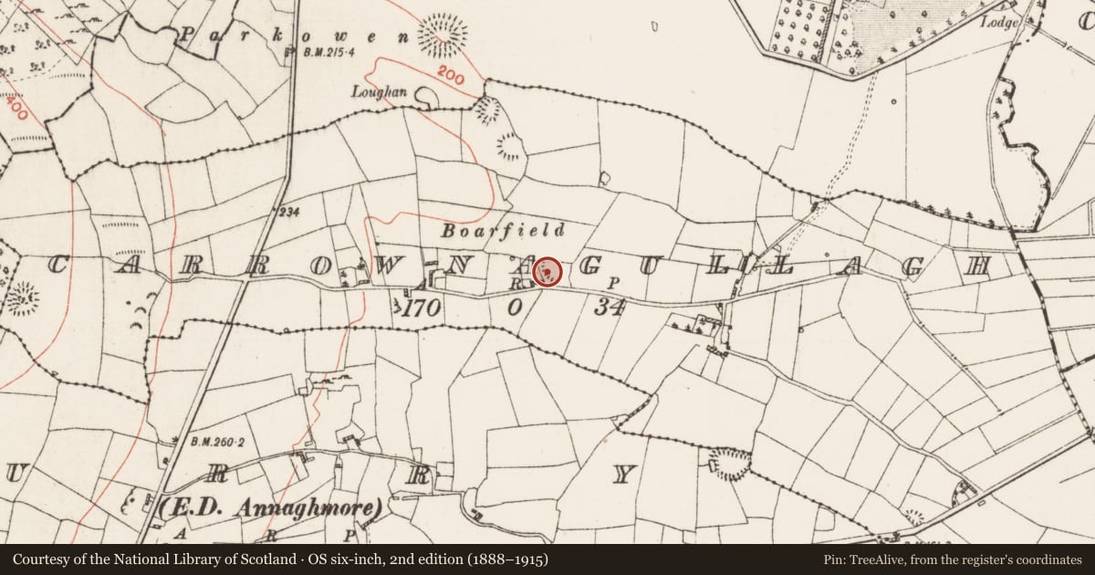 Ordnance Survey six-inch map, 2nd edition (1888–1915) covering the location of Ringfort - rath, Carrownagullagh, County Roscommon, with a pin at the register's coordinates