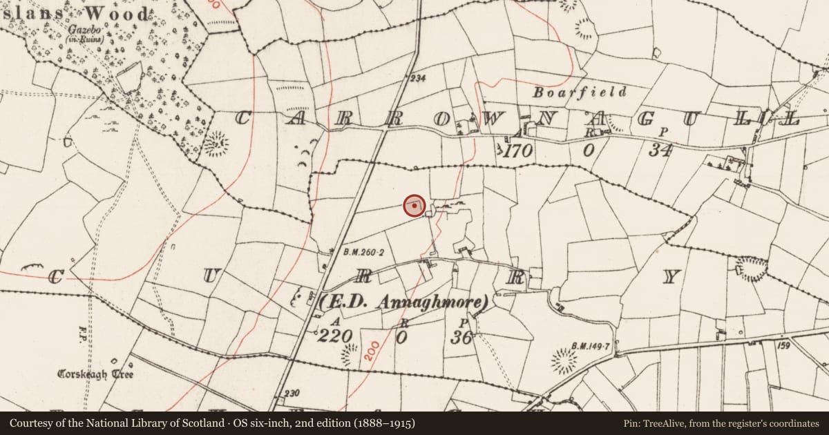 Ordnance Survey six-inch map, 2nd edition (1888–1915) covering the location of Ringfort - rath, Curry, County Roscommon, with a pin at the register's coordinates