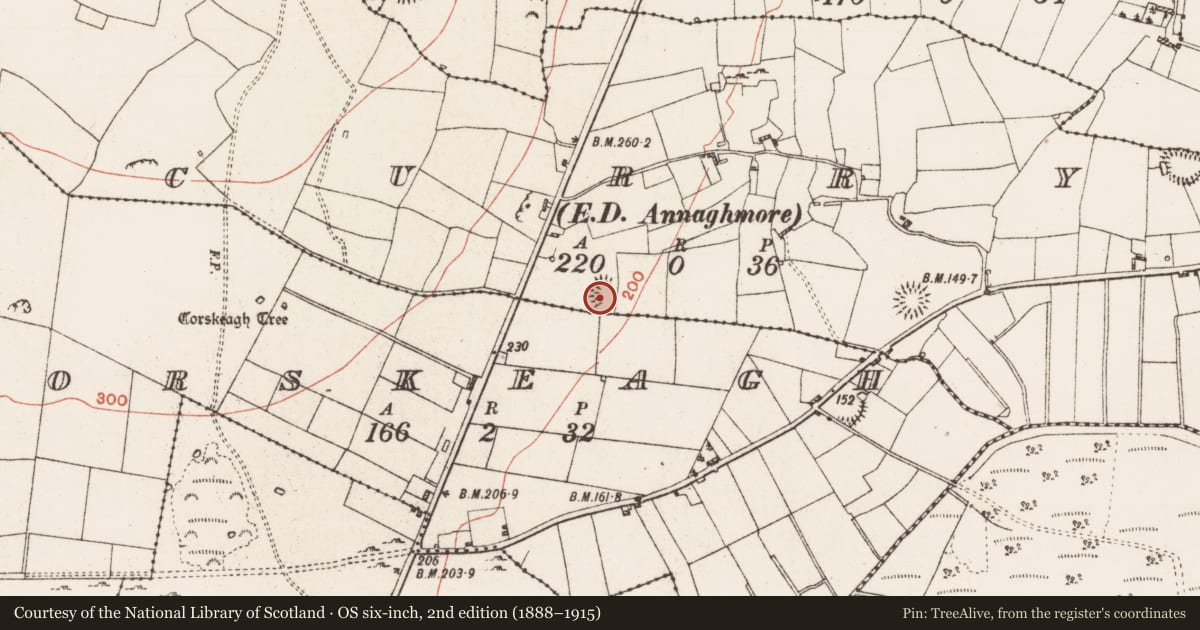 Ordnance Survey six-inch map, 2nd edition (1888–1915) covering the location of Ringfort - rath, Curry, County Roscommon, with a pin at the register's coordinates