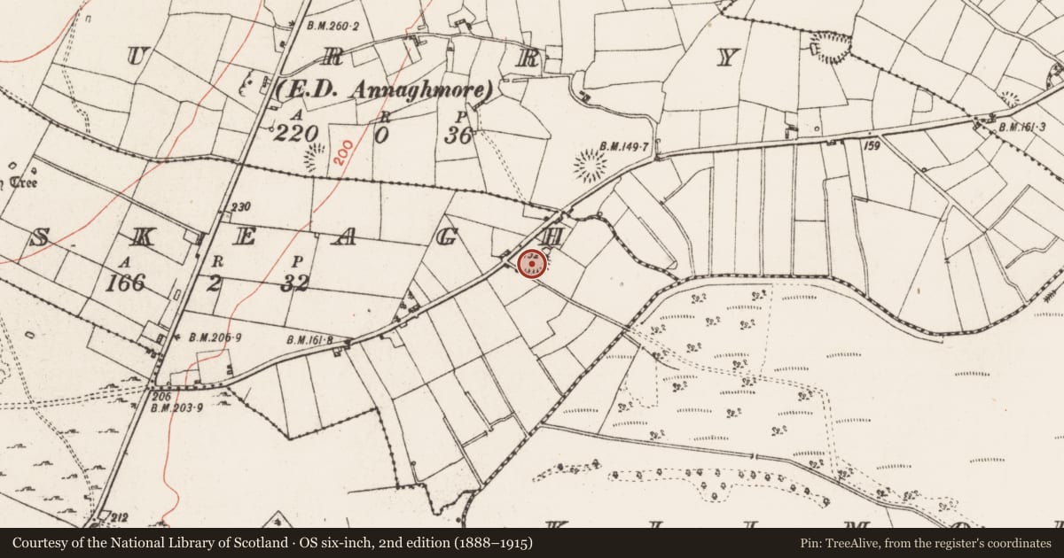 Ordnance Survey six-inch map, 2nd edition (1888–1915) covering the location of Ringfort - rath, Corskeagh, County Roscommon, with a pin at the register's coordinates