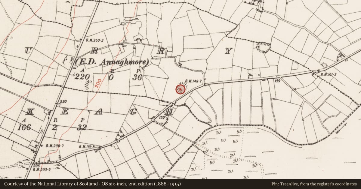 Ordnance Survey six-inch map, 2nd edition (1888–1915) covering the location of Ringfort - rath, Curry, County Roscommon, with a pin at the register's coordinates