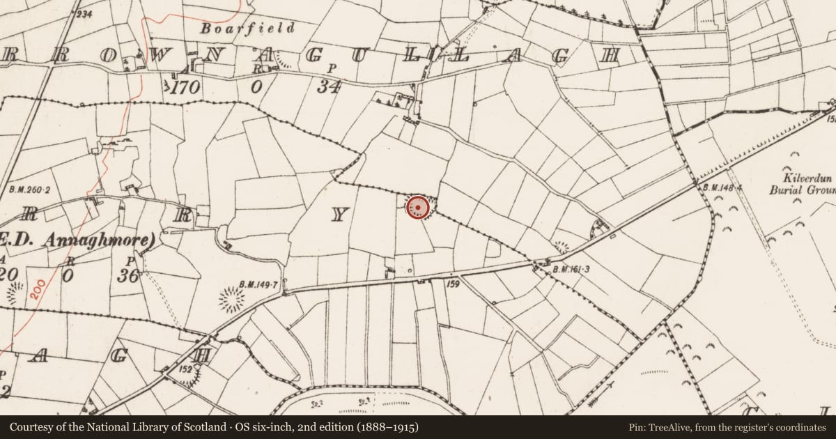 Ordnance Survey six-inch map, 2nd edition (1888–1915) covering the location of Ringfort - rath, Carrownagullagh, Curry, County Roscommon, with a pin at the register's coordinates