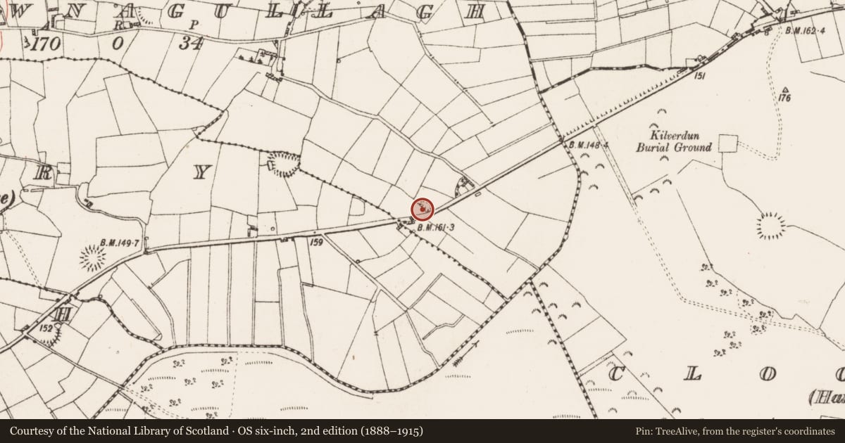Ordnance Survey six-inch map, 2nd edition (1888–1915) covering the location of Ringfort - rath, Carrownagullagh, County Roscommon, with a pin at the register's coordinates