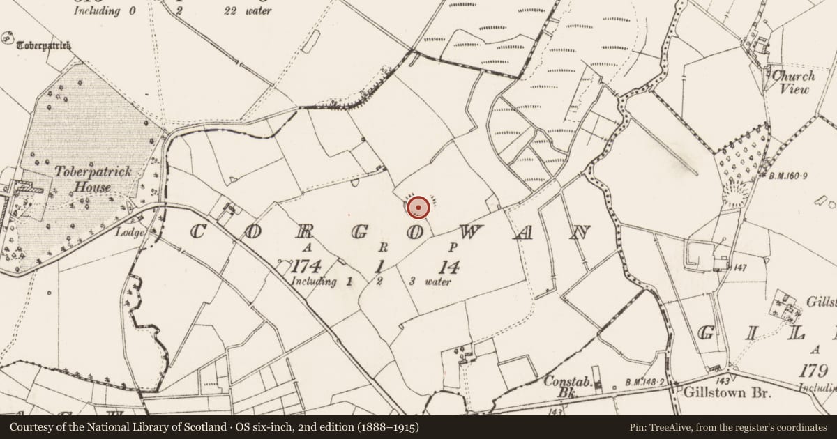 Ordnance Survey six-inch map, 2nd edition (1888–1915) covering the location of Ringfort - rath, Corgowan, County Roscommon, with a pin at the register's coordinates