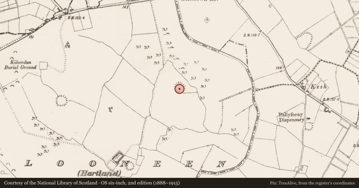 Ordnance Survey six-inch map, 2nd edition (1888–1915) covering the location of Ringfort - rath, Clooneen (Hartland), County Roscommon, with a pin at the register's coordinates