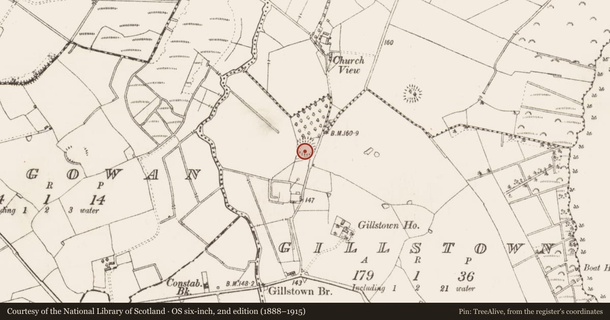 Ordnance Survey six-inch map, 2nd edition (1888–1915) covering the location of Ringfort - rath, Gillstown, County Roscommon, with a pin at the register's coordinates