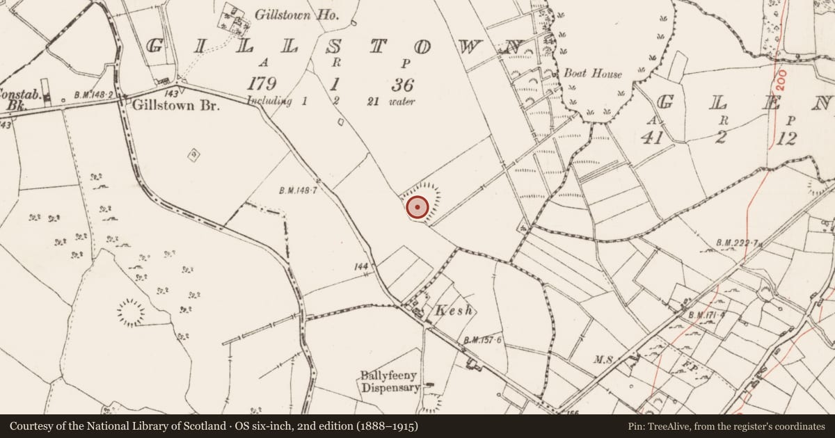 Ordnance Survey six-inch map, 2nd edition (1888–1915) covering the location of Ringfort - rath, Gillstown, County Roscommon, with a pin at the register's coordinates