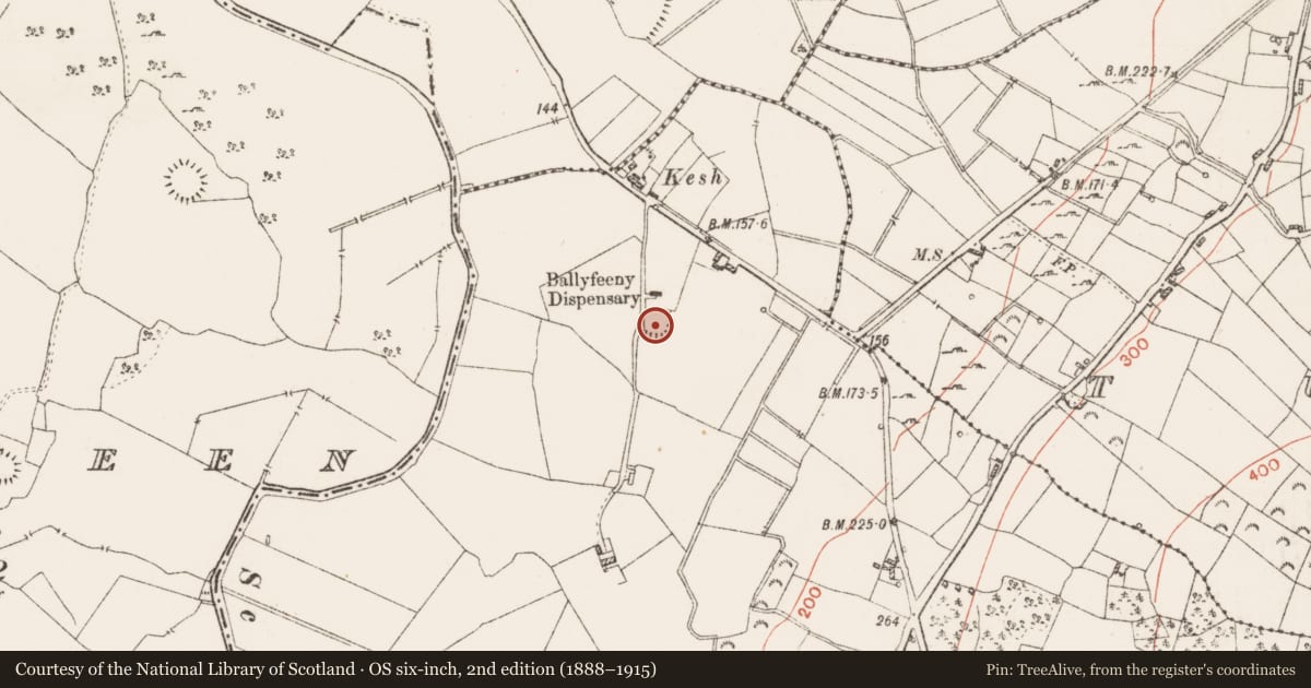 Ordnance Survey six-inch map, 2nd edition (1888–1915) covering the location of Ringfort - rath, Ballyfeeny, County Roscommon, with a pin at the register's coordinates