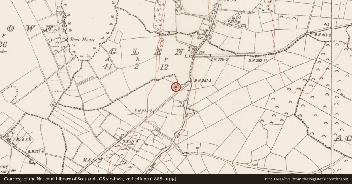 Ordnance Survey six-inch map, 2nd edition (1888–1915) covering the location of Ringfort - rath, Tully, County Roscommon, with a pin at the register's coordinates