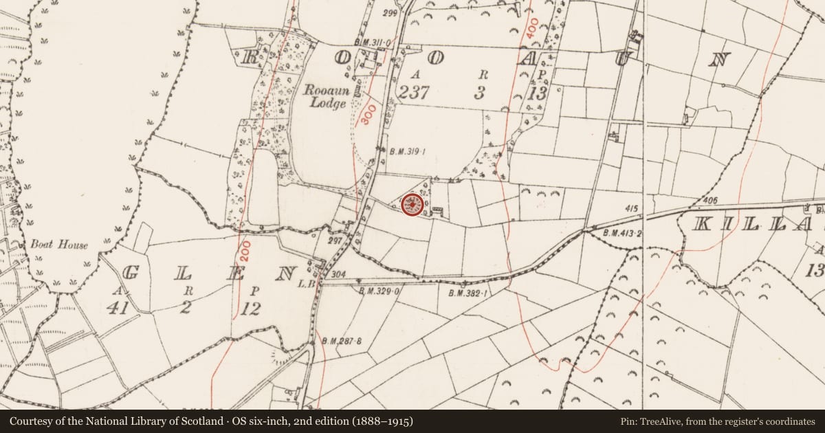 Ordnance Survey six-inch map, 2nd edition (1888–1915) covering the location of Ringfort - rath, Rooaun, County Roscommon, with a pin at the register's coordinates