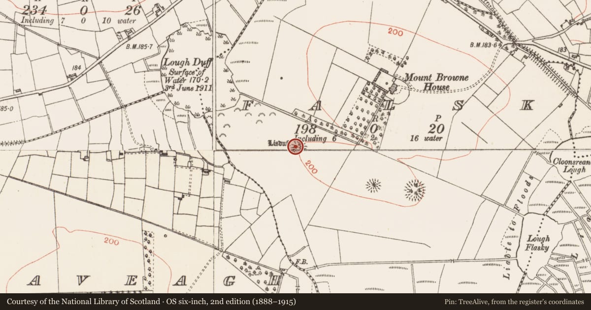 Ordnance Survey six-inch map, 2nd edition (1888–1915) covering the location of Ringfort - rath, Falsk, County Roscommon, with a pin at the register's coordinates
