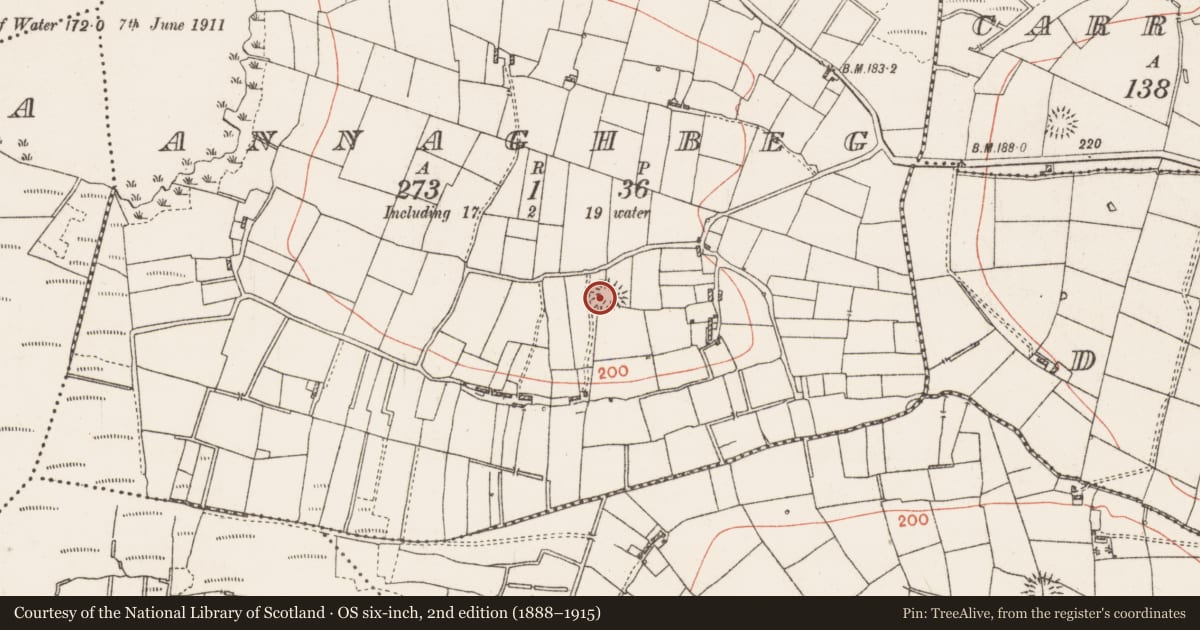 Ordnance Survey six-inch map, 2nd edition (1888–1915) covering the location of Ringfort - rath, Annaghbeg, County Roscommon, with a pin at the register's coordinates