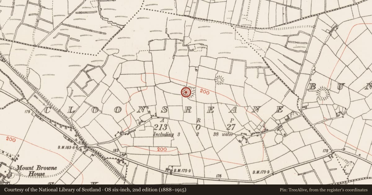 Ordnance Survey six-inch map, 2nd edition (1888–1915) covering the location of Ringfort - rath, Cloonsreane, County Roscommon, with a pin at the register's coordinates