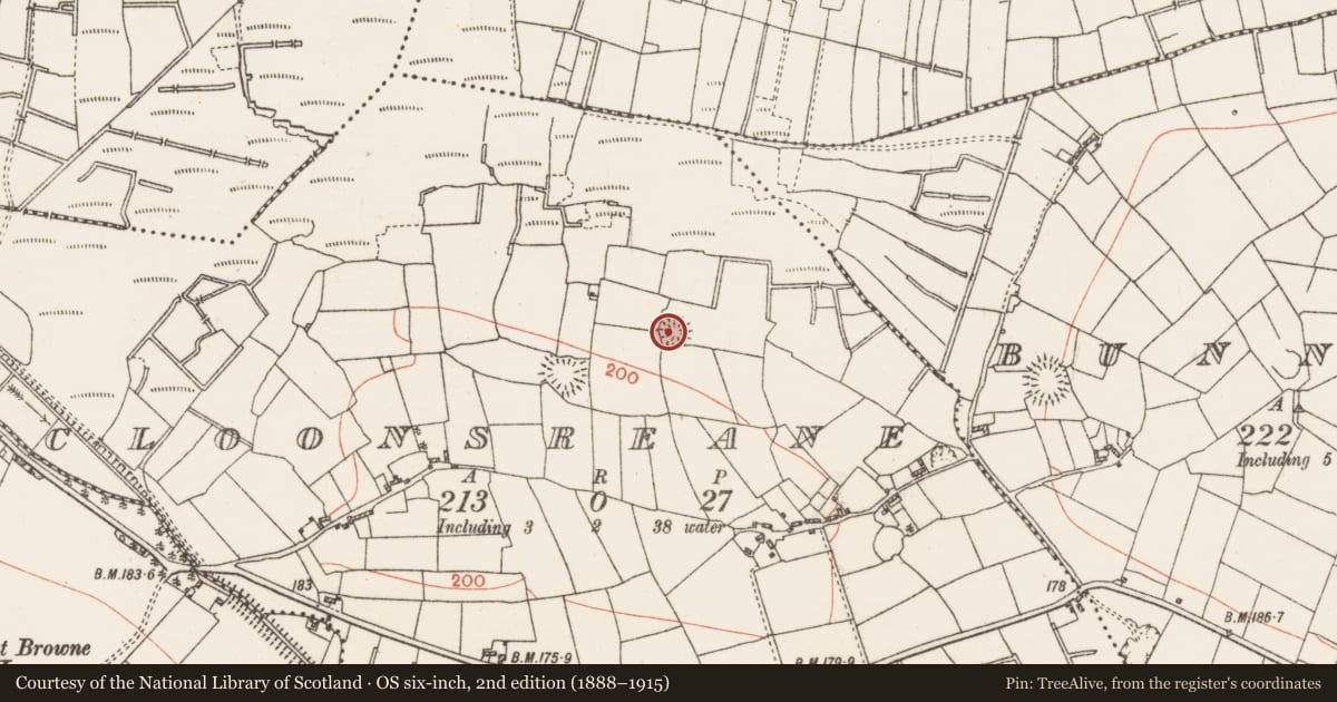 Ordnance Survey six-inch map, 2nd edition (1888–1915) covering the location of Ringfort - rath, Cloonsreane, County Roscommon, with a pin at the register's coordinates