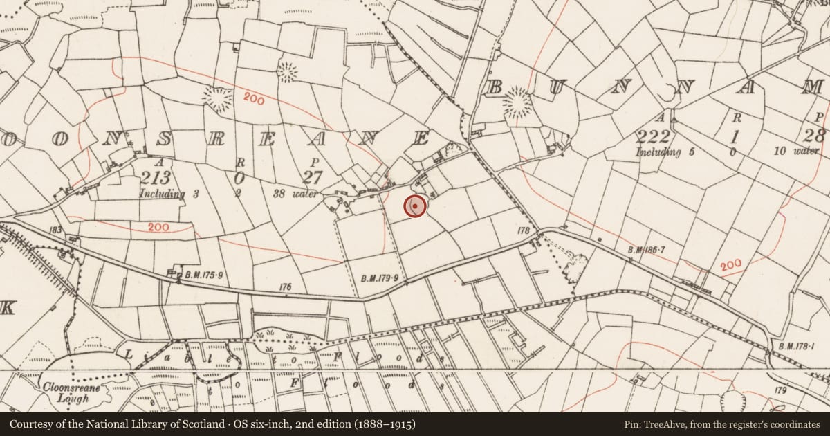 Ordnance Survey six-inch map, 2nd edition (1888–1915) covering the location of Ringfort - rath, Cloonsreane, County Roscommon, with a pin at the register's coordinates