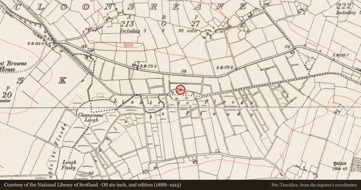 Ordnance Survey six-inch map, 2nd edition (1888–1915) covering the location of Crannog, Cloonsreane, County Roscommon, with a pin at the register's coordinates