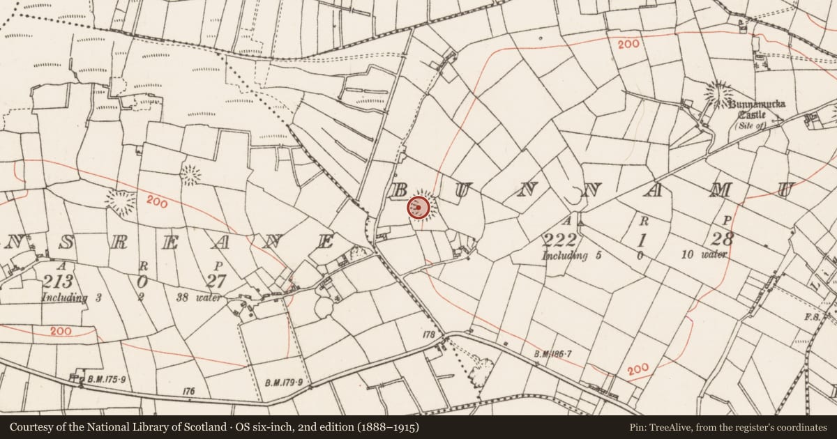 Ordnance Survey six-inch map, 2nd edition (1888–1915) covering the location of Ringfort - rath, Bunnamucka, County Roscommon, with a pin at the register's coordinates