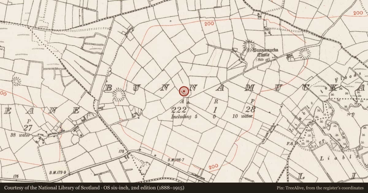 Ordnance Survey six-inch map, 2nd edition (1888–1915) covering the location of Ringfort - rath, Bunnamucka, County Roscommon, with a pin at the register's coordinates